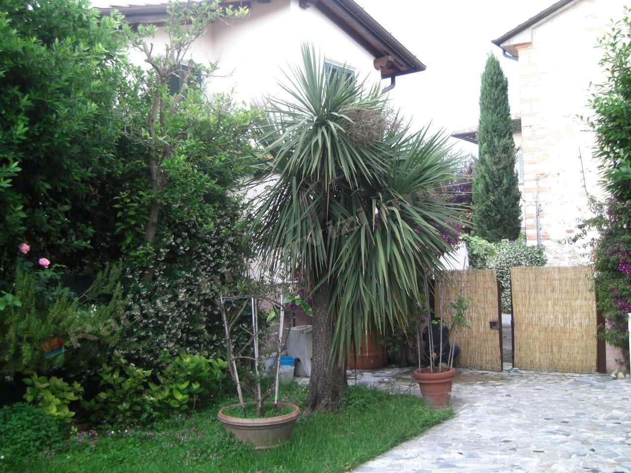 immagine annuncio 9 di 12