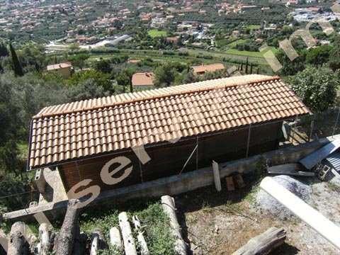 immagine annuncio 10 di 12
