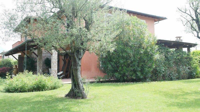 immagine annuncio 7 di 12
