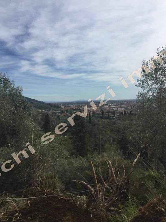 immagine annuncio 5 di 6