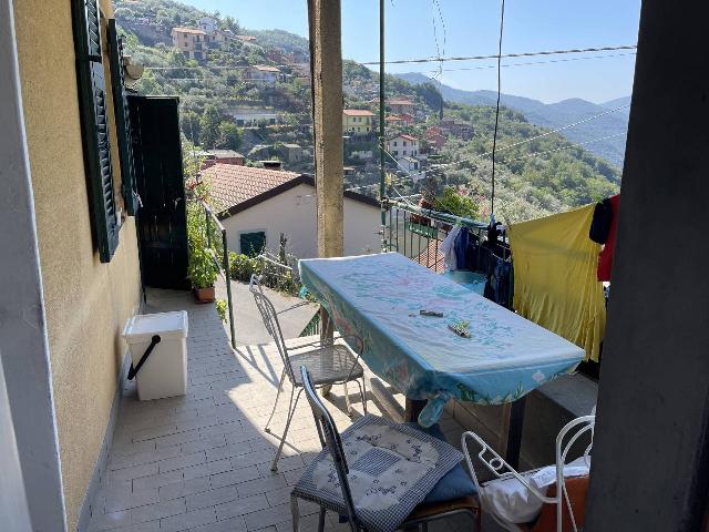 2-room flat in Via Mulinello, Avegno - Photo 1