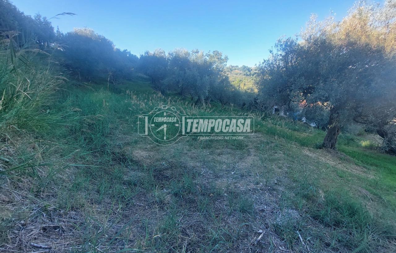 immagine annuncio 4 di 12