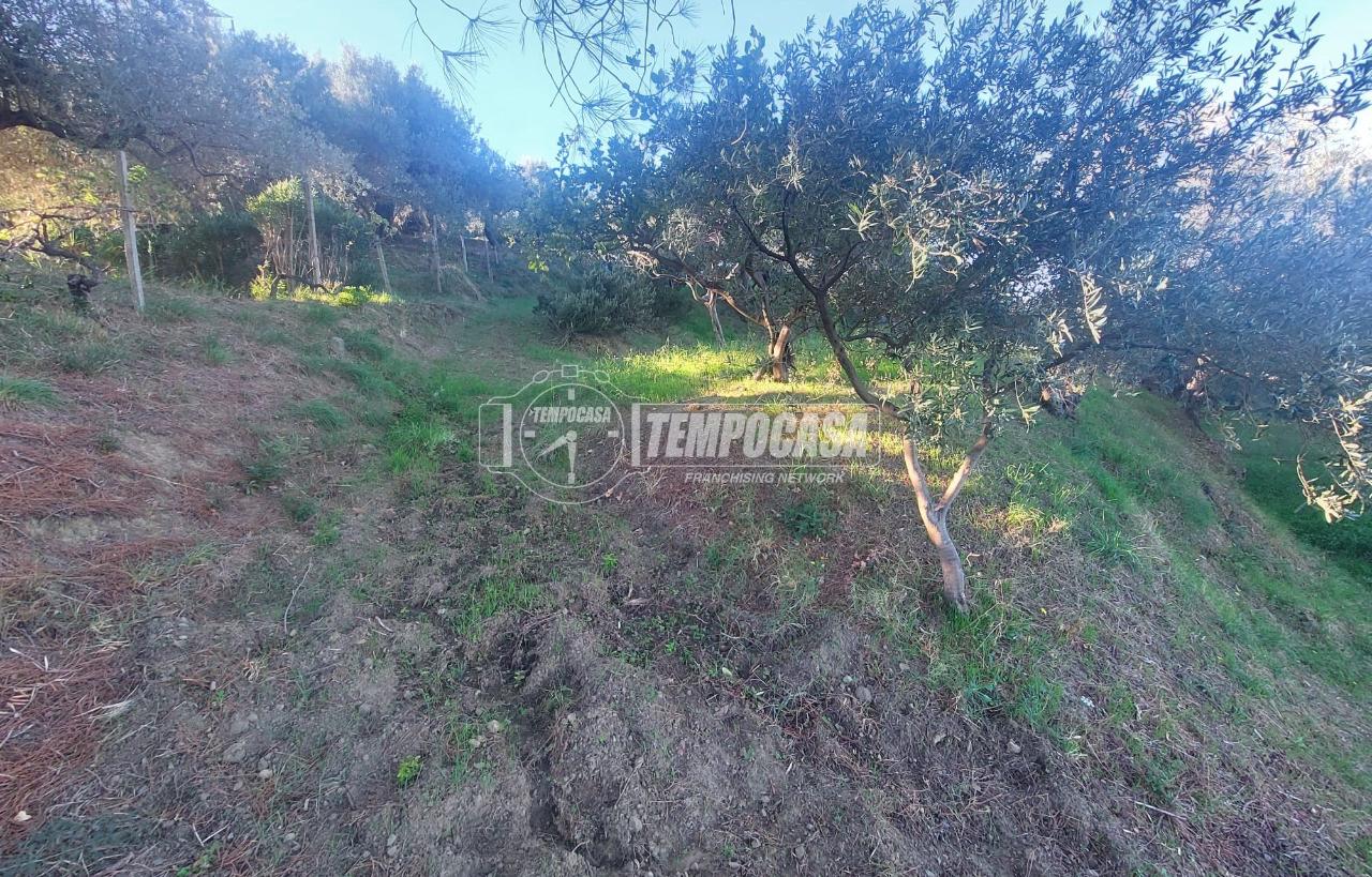 immagine annuncio 10 di 12