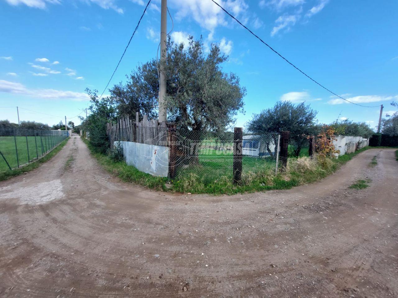 immagine annuncio 9 di 13