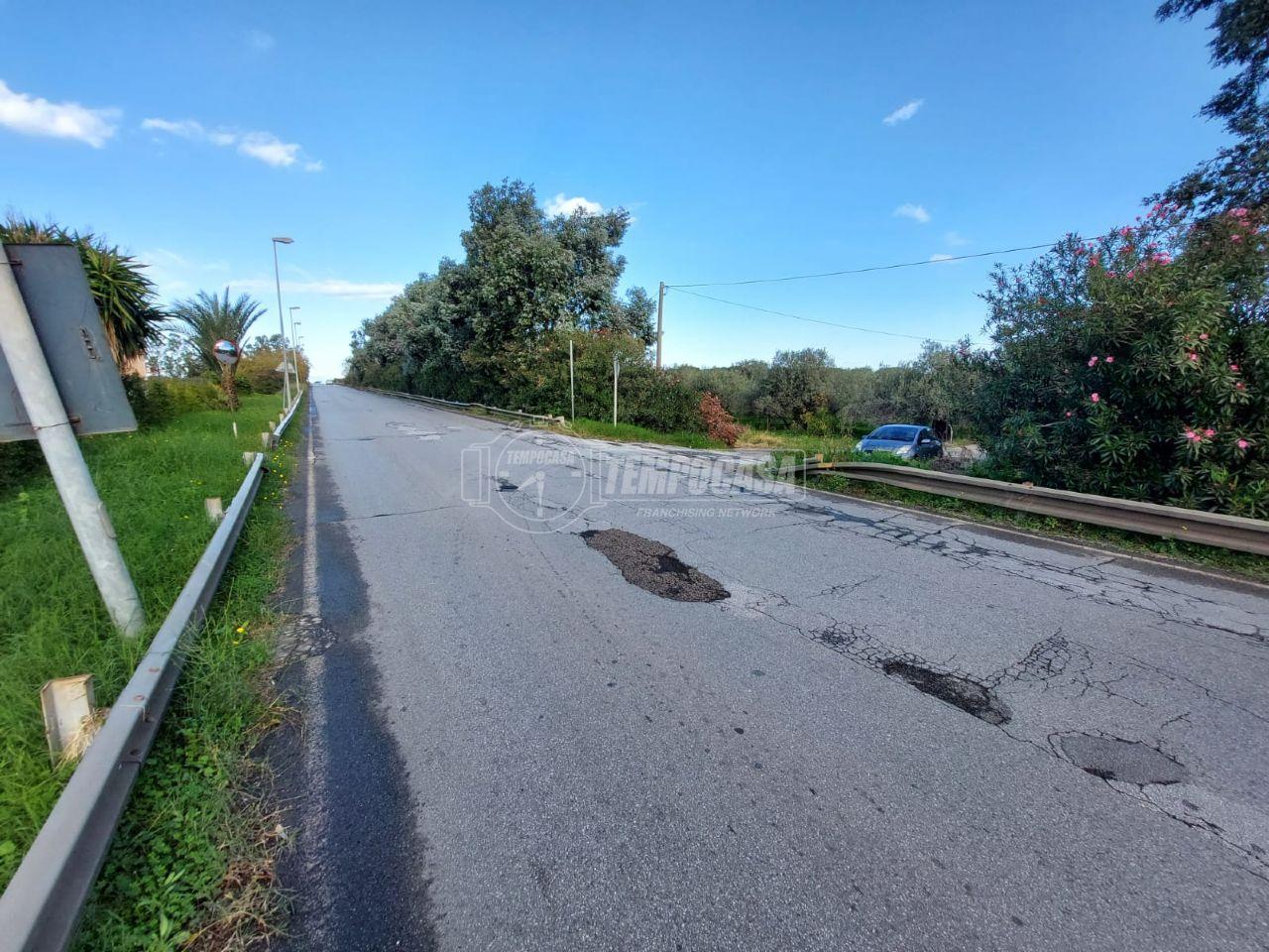 immagine annuncio 11 di 13