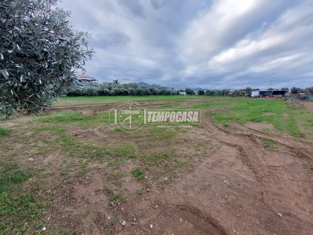 immagine annuncio 7 di 13