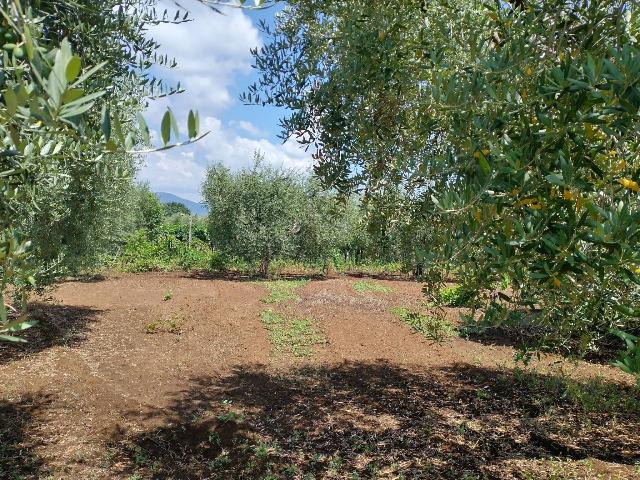 Agrargrundstück in Via Castel Ginnetti, Velletri - Foto 1