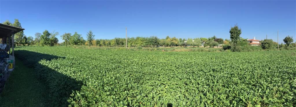 Terreno agricolo in vendita a Pasiano Di Pordenone