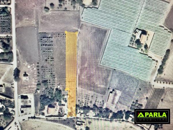 insertion image