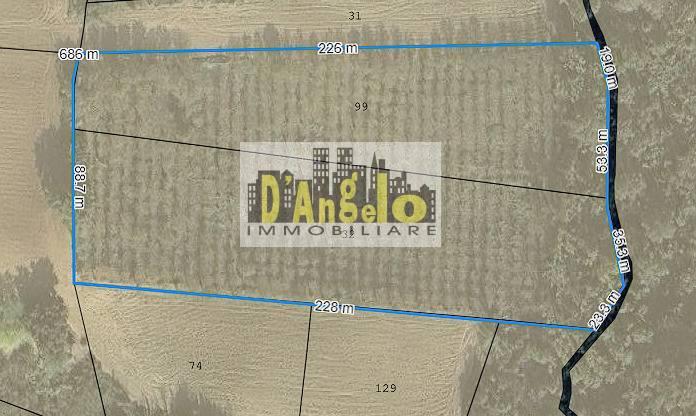 Azienda agricola in San Lazzaro, Offida, {3} - Foto 1