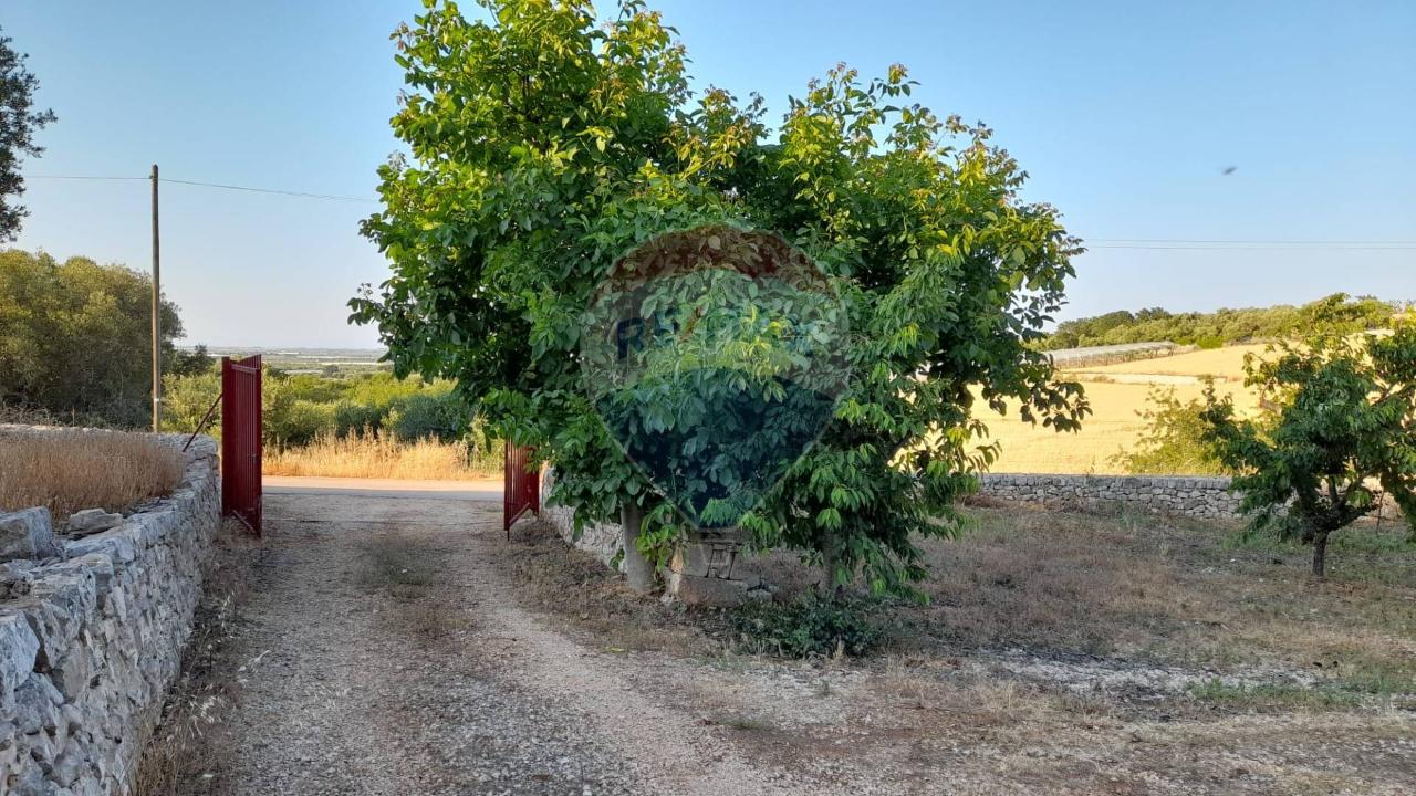 immagine annuncio 11 di 14