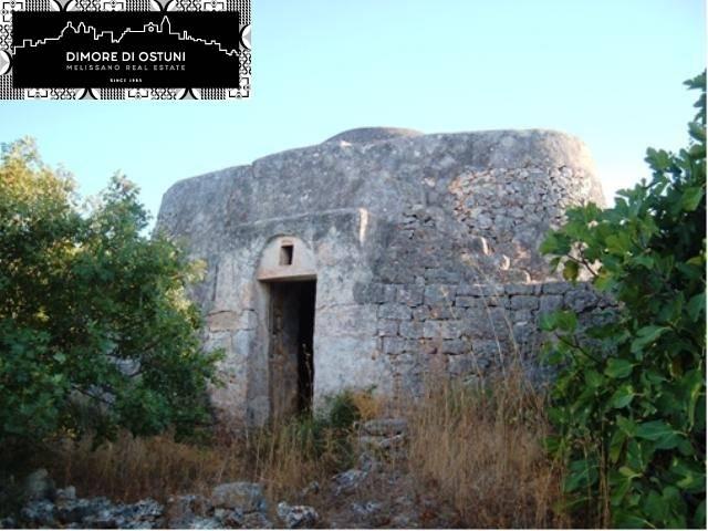 Terreno agricolo, Ostuni - Foto 1