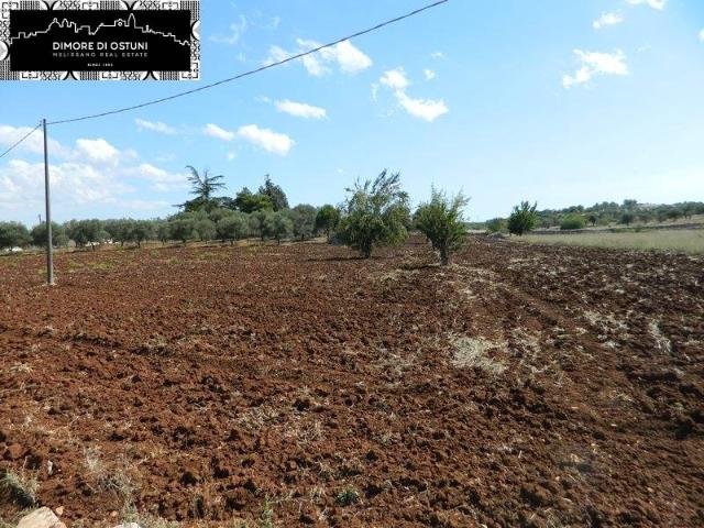 Terreno agricolo, Ostuni - Foto 1