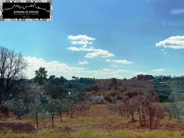 Terreno agricolo, Ostuni - Foto 1