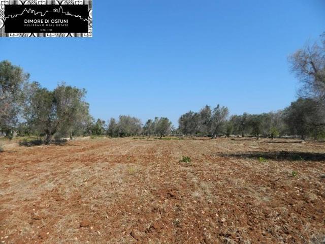 Terreno agricolo, Carovigno - Foto 1