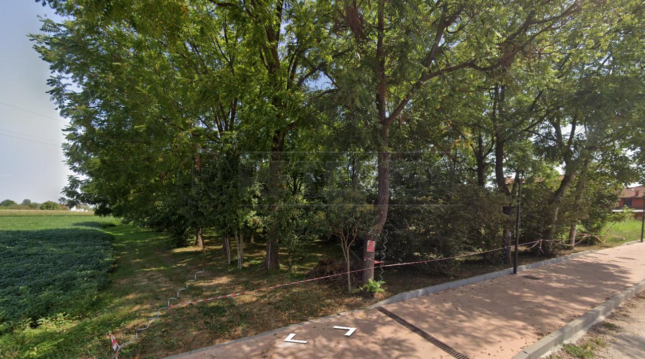 immagine annuncio 1 di 6