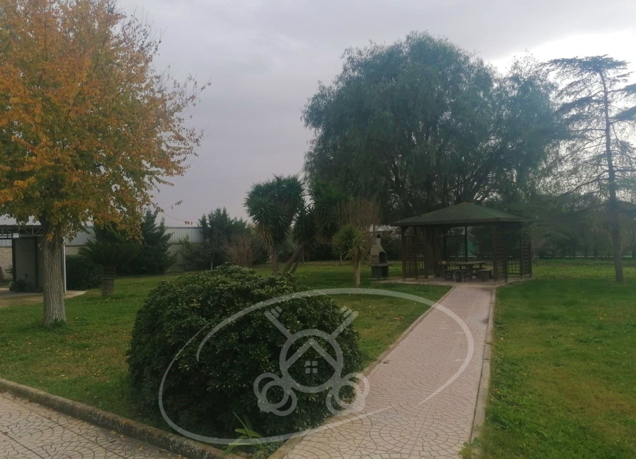 immagine annuncio 1 di 4