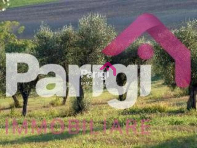 Agricultural land in {3}, Braga - Photo 1