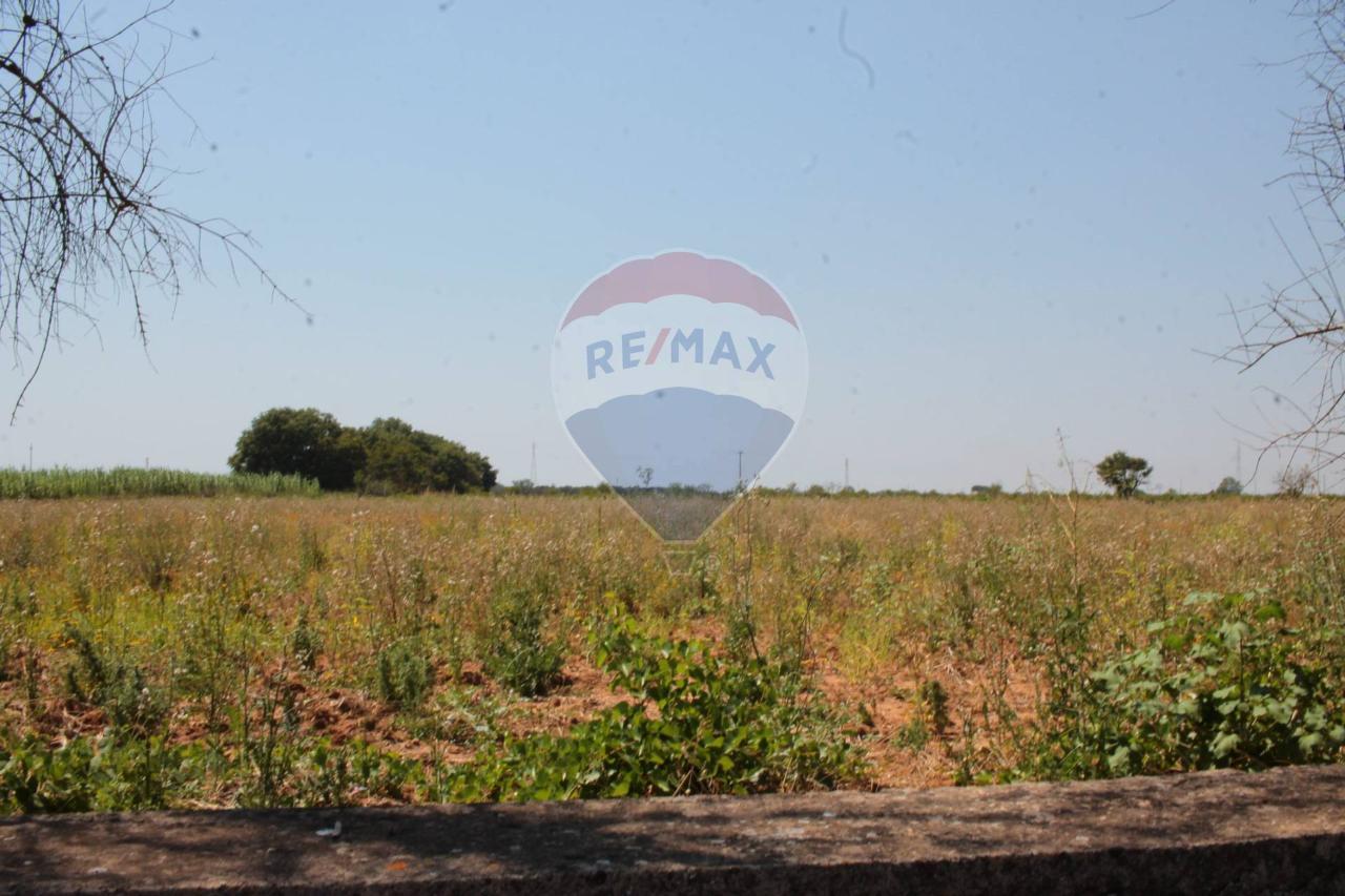 Terreno agricolo in vendita a Galatone