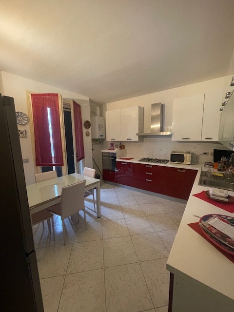 immagine annuncio 3 di 14