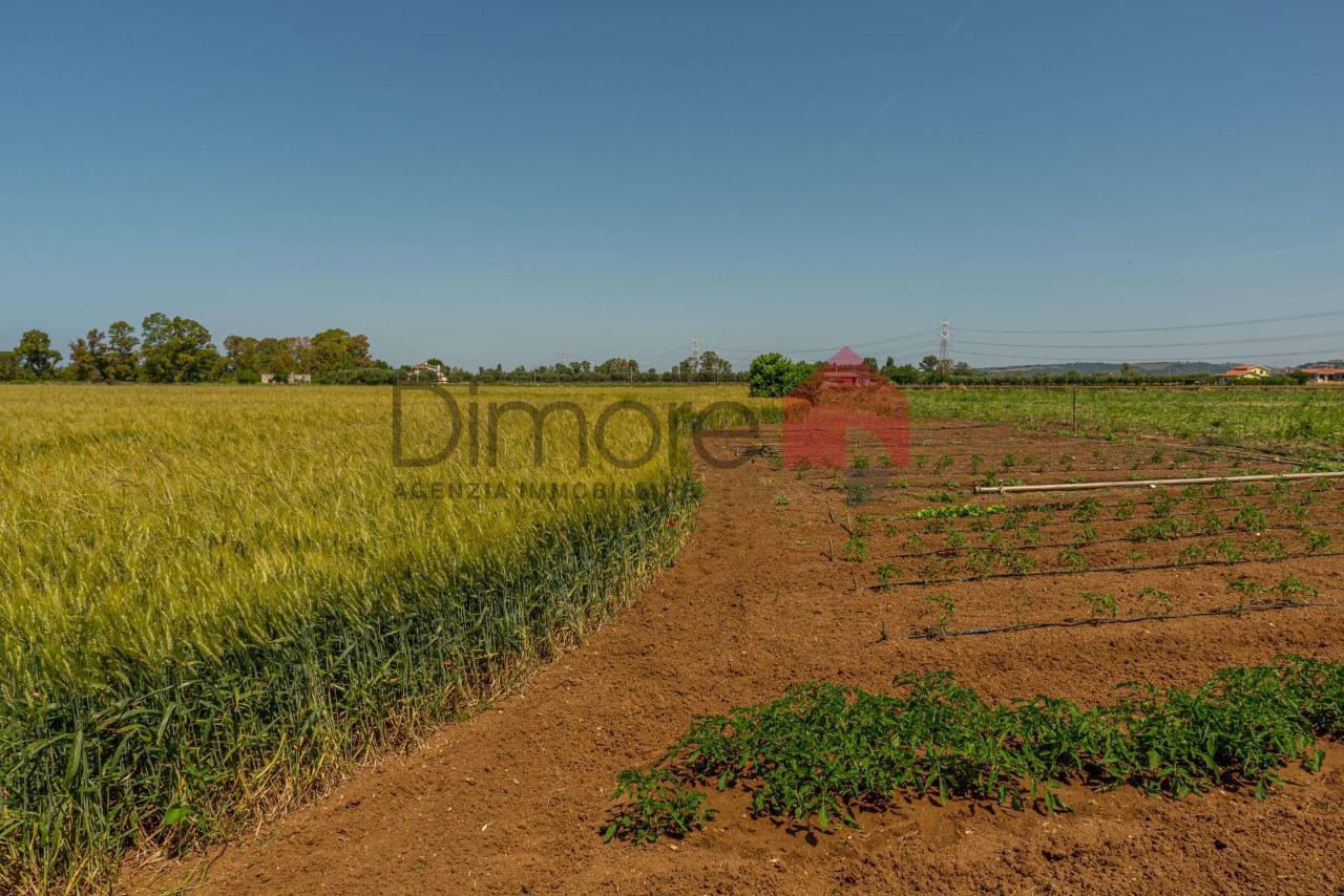 Terreno agricolo in vendita a Tarquinia