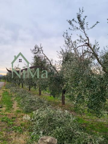 Agricultural land in {3}, - Photo 1