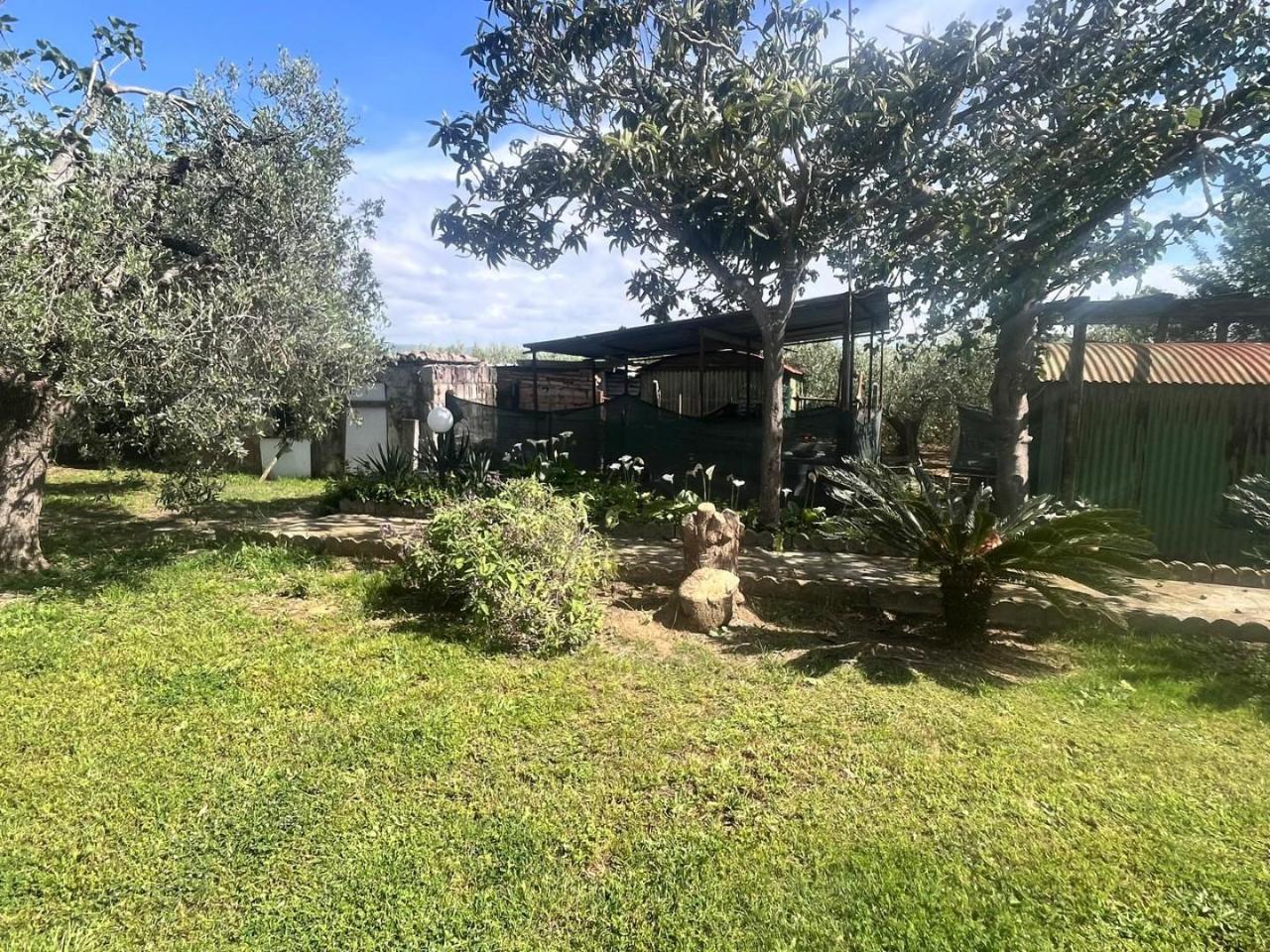 immagine annuncio 3 di 6