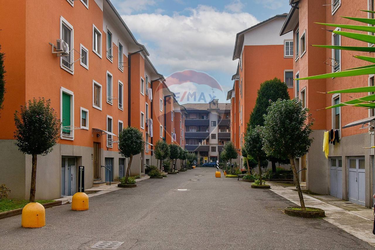 immagine annuncio 12 di 14