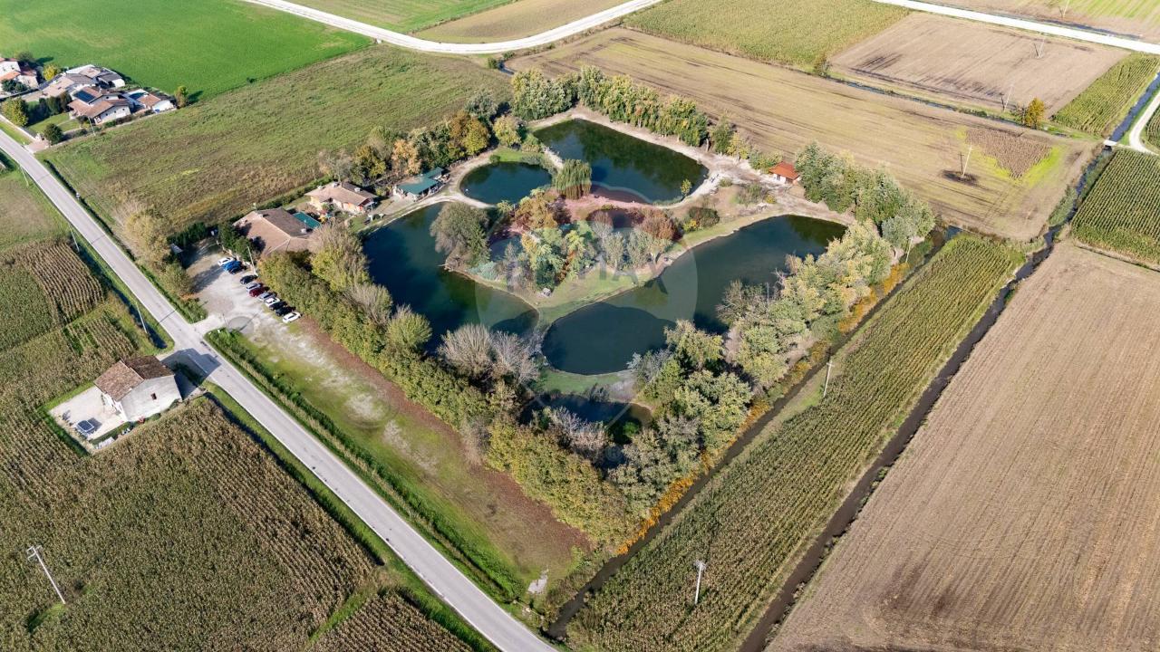 Esercizio commerciale in , Castel Goffredo, {3} - Foto 1
