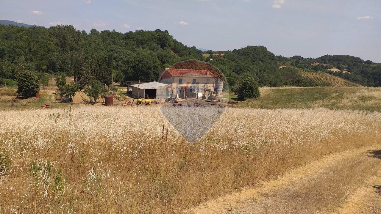 Azienda agricola in vendita a Terranuova Bracciolini