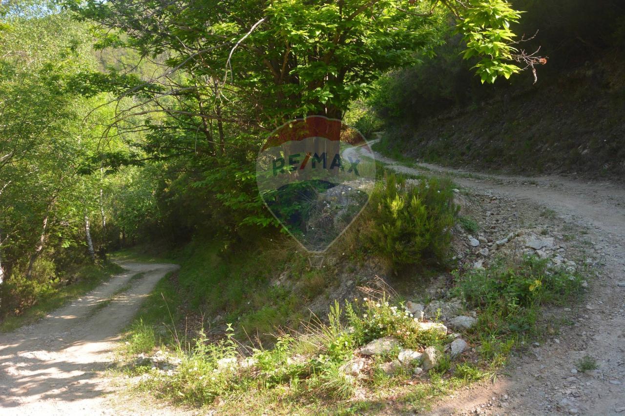 immagine annuncio 5 di 9