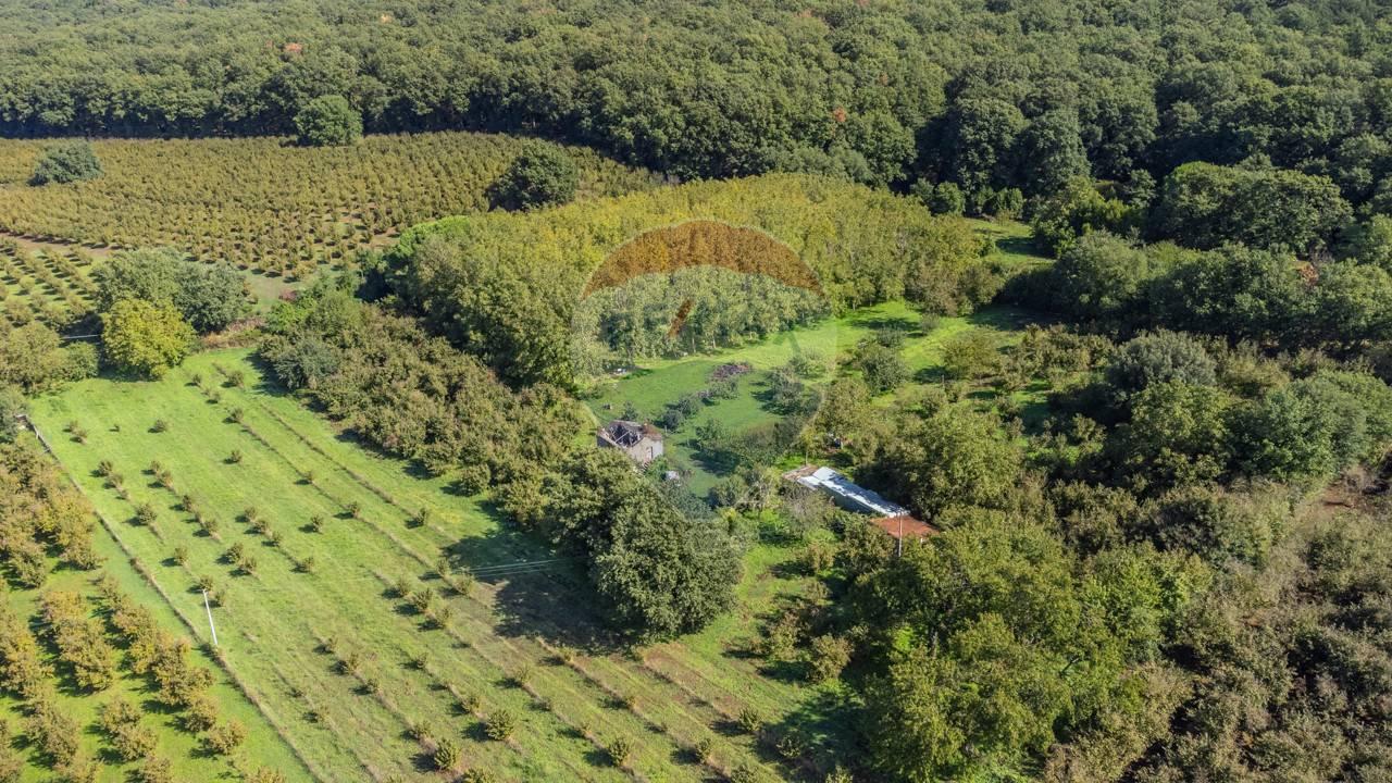 immagine annuncio 4 di 7