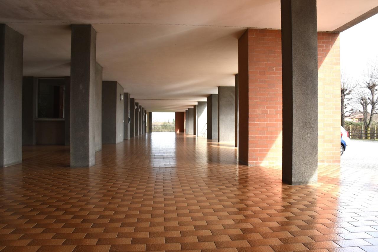 immagine annuncio 9 di 12