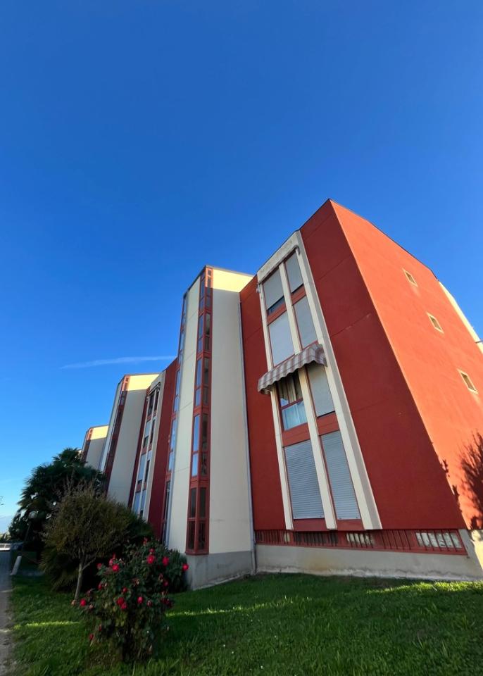 immagine annuncio 2 di 14