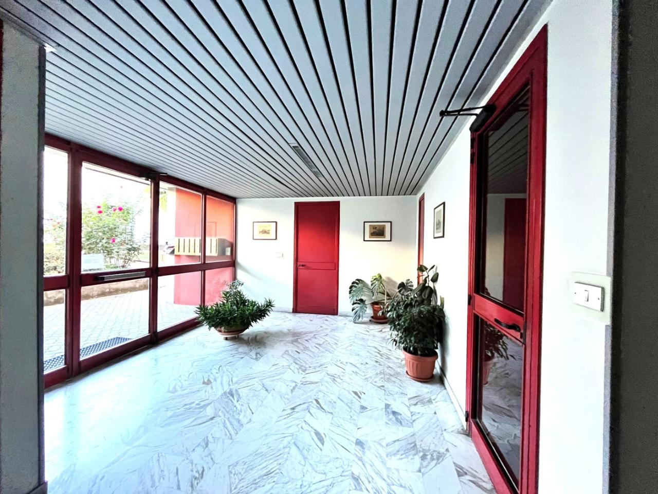 immagine annuncio 4 di 14