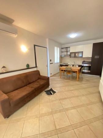 immagine annuncio 3 di 14