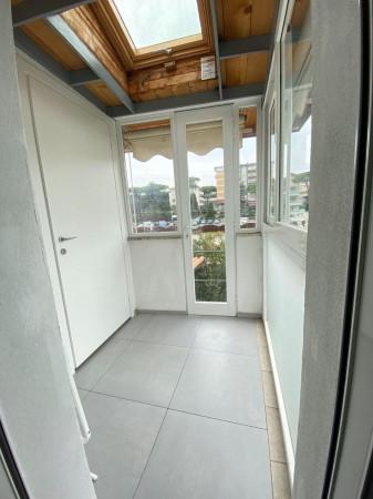 immagine annuncio 4 di 12