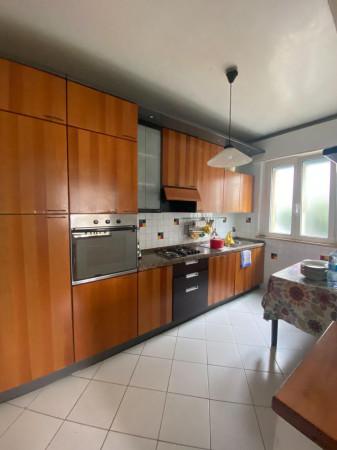 immagine annuncio 4 di 14