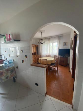 immagine annuncio 6 di 14