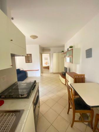 immagine annuncio 7 di 12