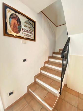 immagine annuncio 5 di 14