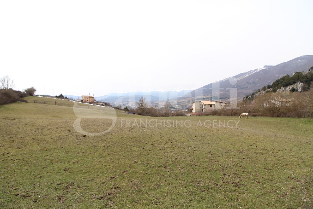 immagine annuncio 4 di 8