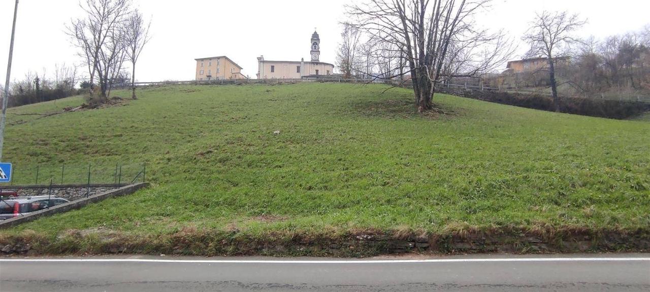 Terreno agricolo in vendita a Sant'Omobono Terme