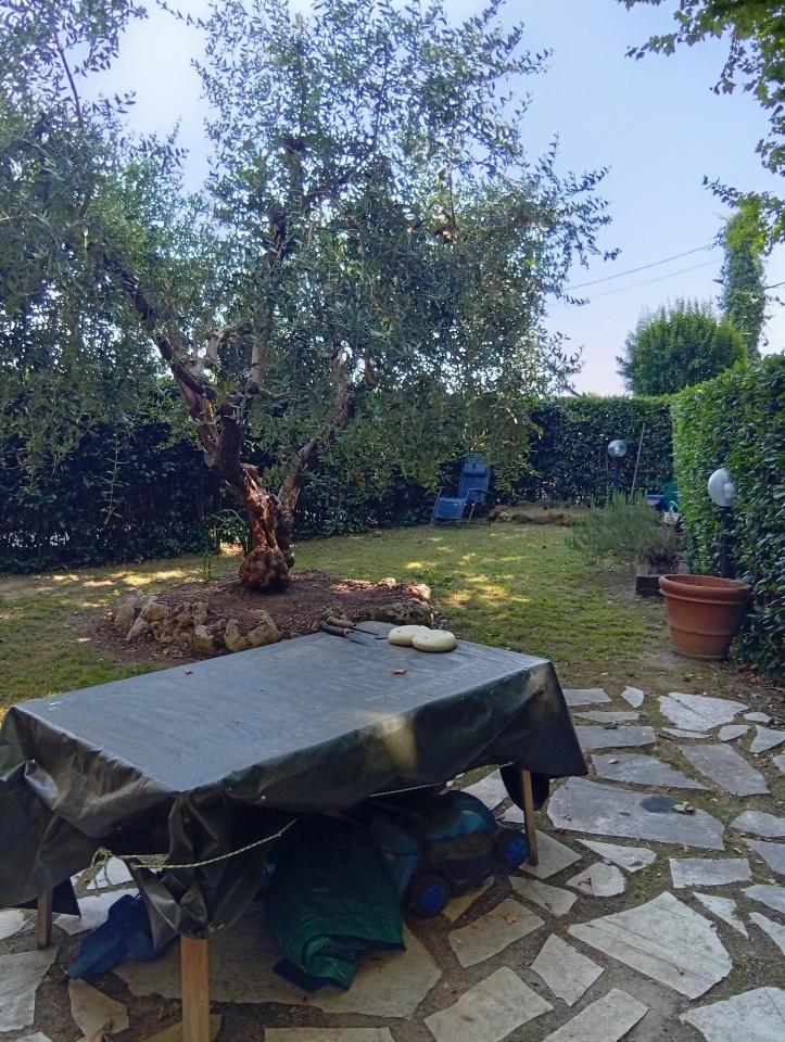 immagine annuncio 0 di 15