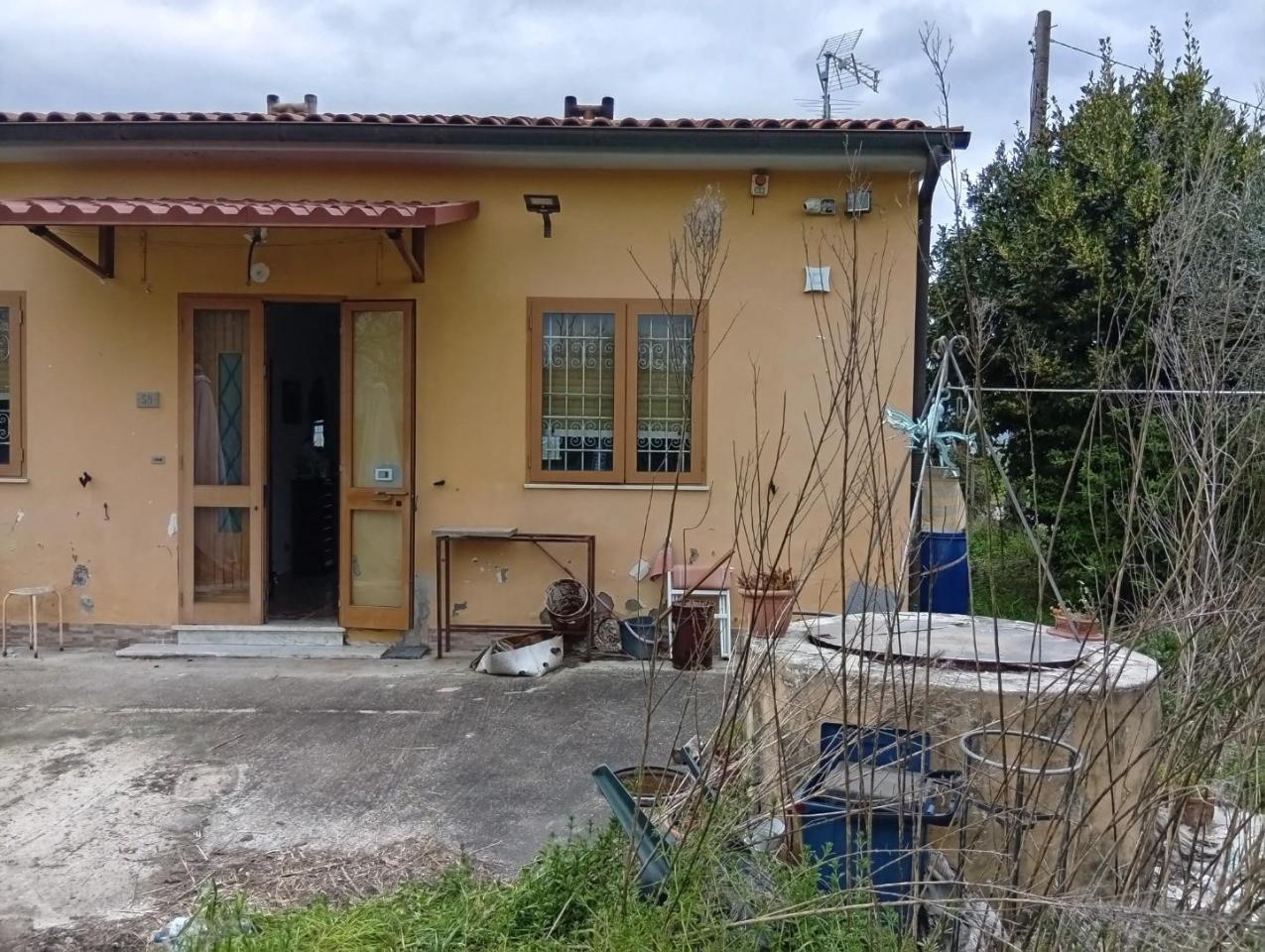 immagine annuncio 4 di 13