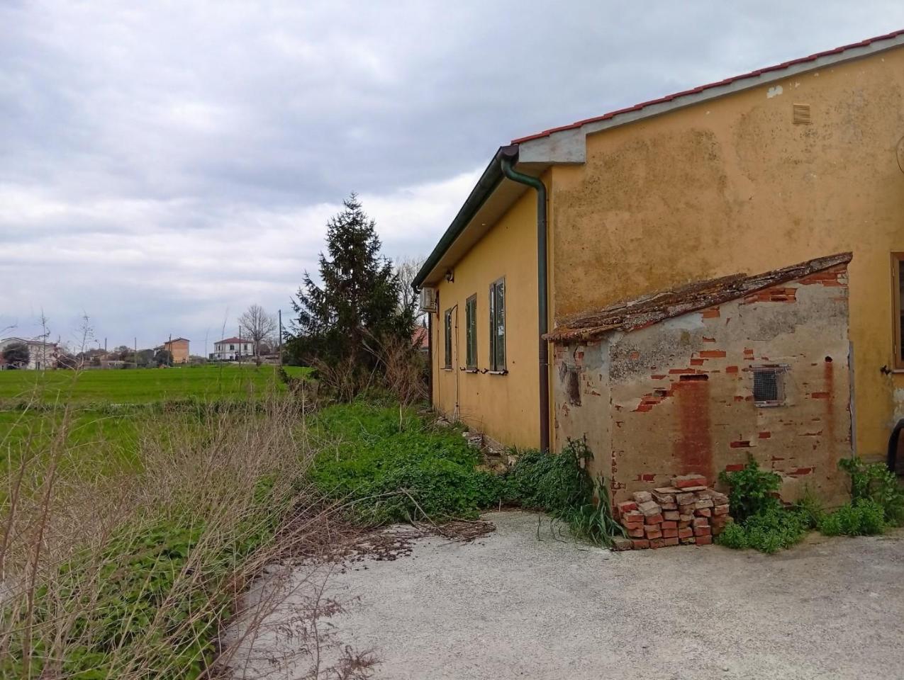 immagine annuncio 10 di 13