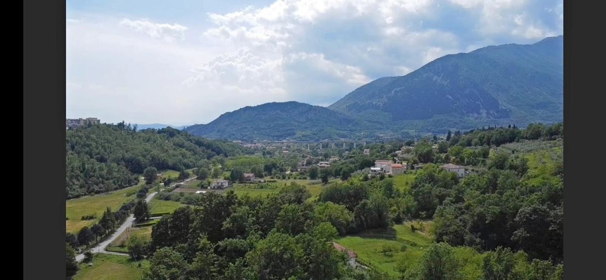 immagine annuncio 9 di 12