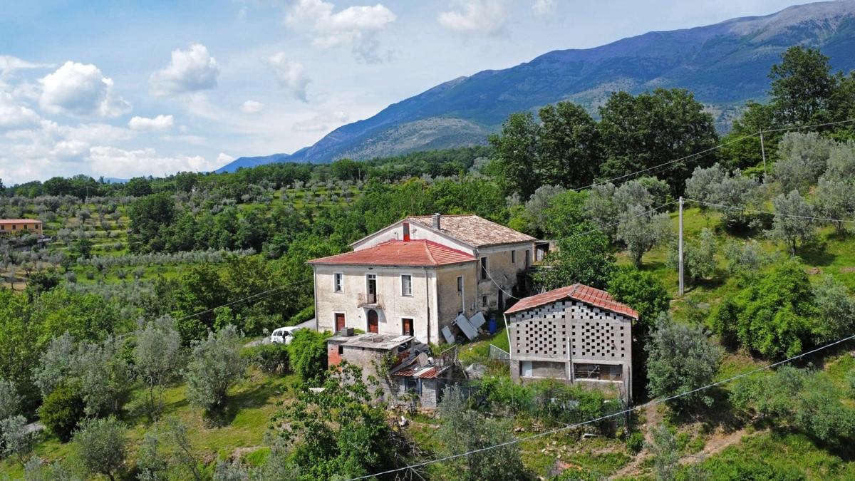 immagine annuncio 8 di 12
