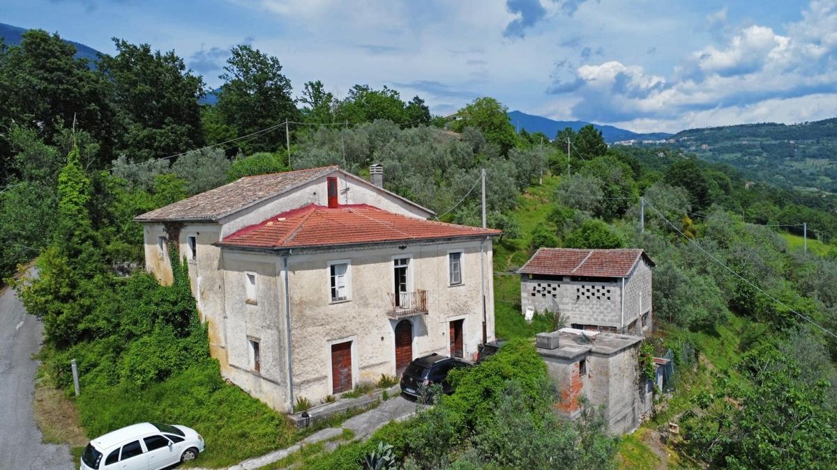 immagine annuncio 6 di 12