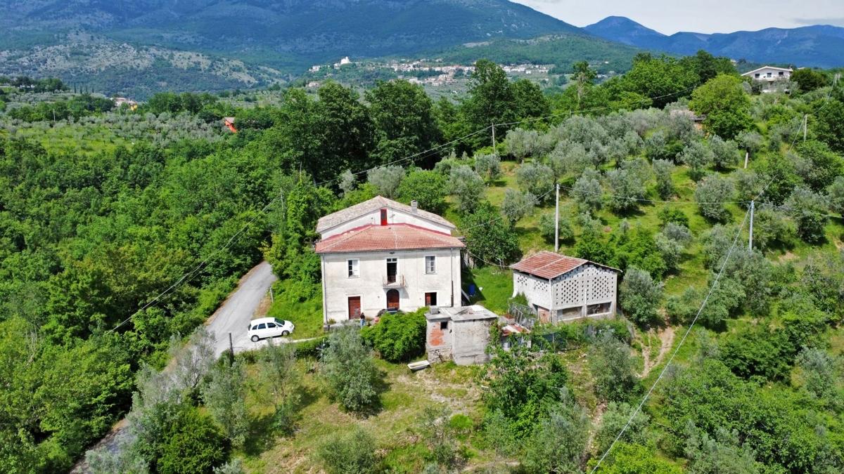 immagine annuncio 1 di 12